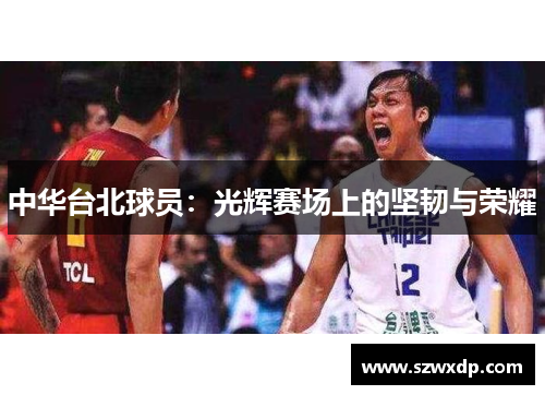 中华台北球员：光辉赛场上的坚韧与荣耀
