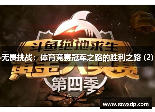 无畏挑战：体育竞赛冠军之路的胜利之路 (2)