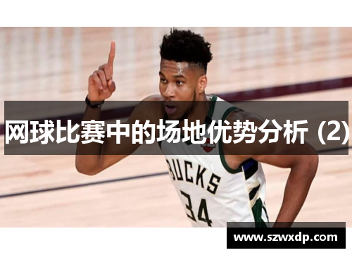 网球比赛中的场地优势分析 (2)